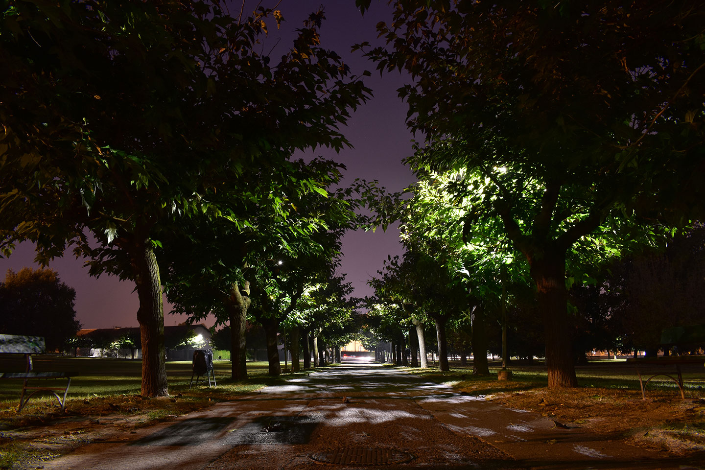 Park by night