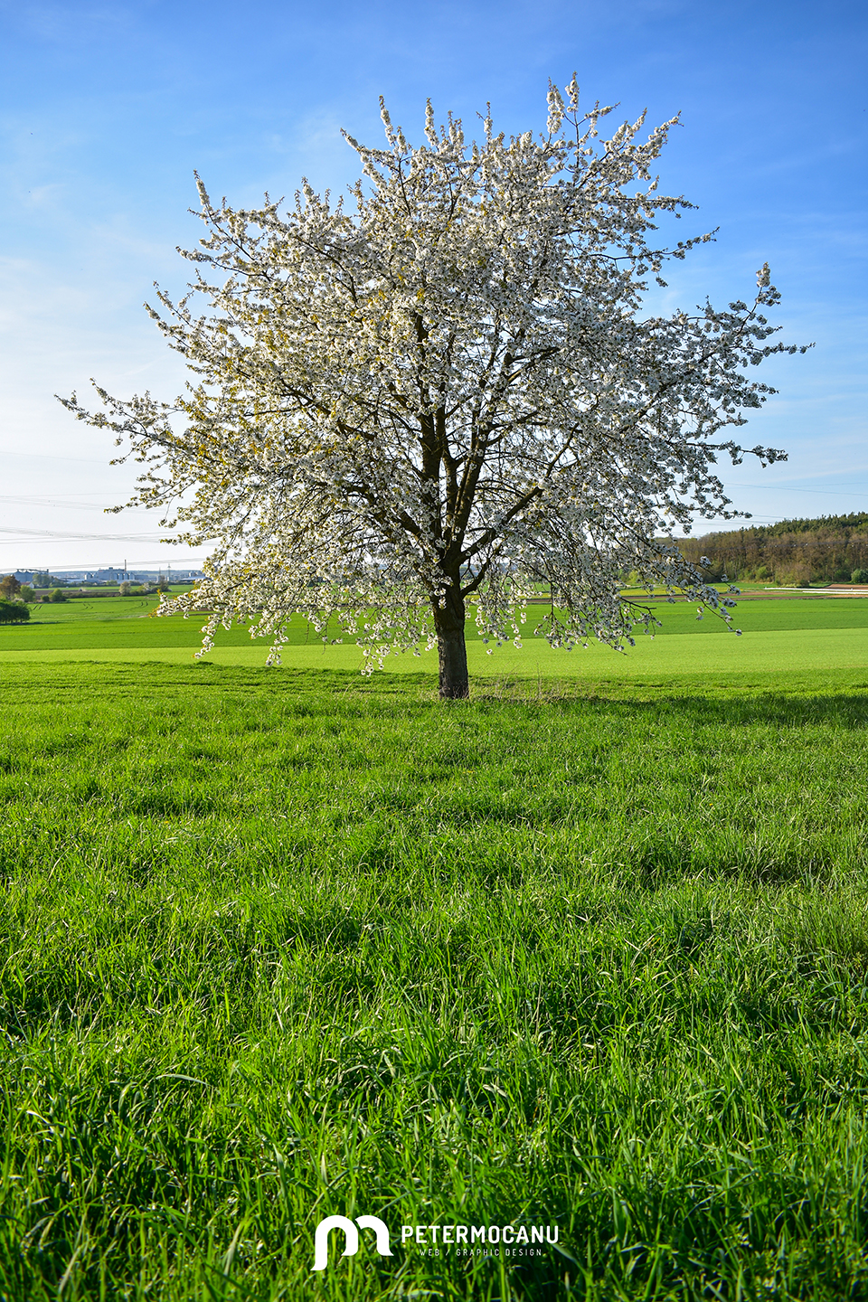 Celebrating World Earth Day